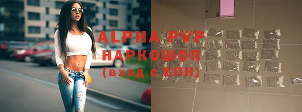 стафф Михайловск