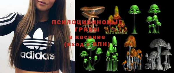 стафф Михайловск