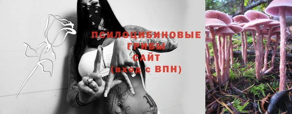 стафф Михайловск