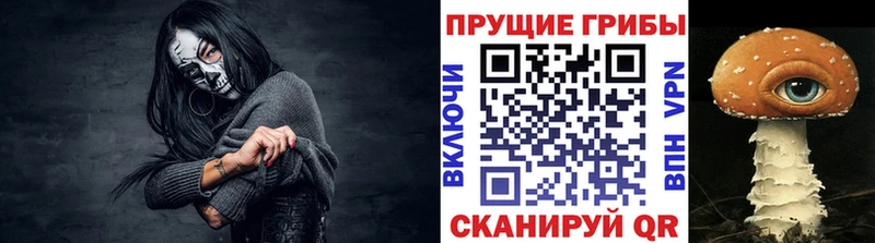 Купить где  Шиханы  Галлюциногенные грибы мицелий 