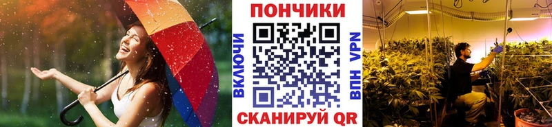 Купить где  Шиханы  Бошки марихуана план 